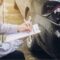 Understanding the Auto Insurance Claims Process